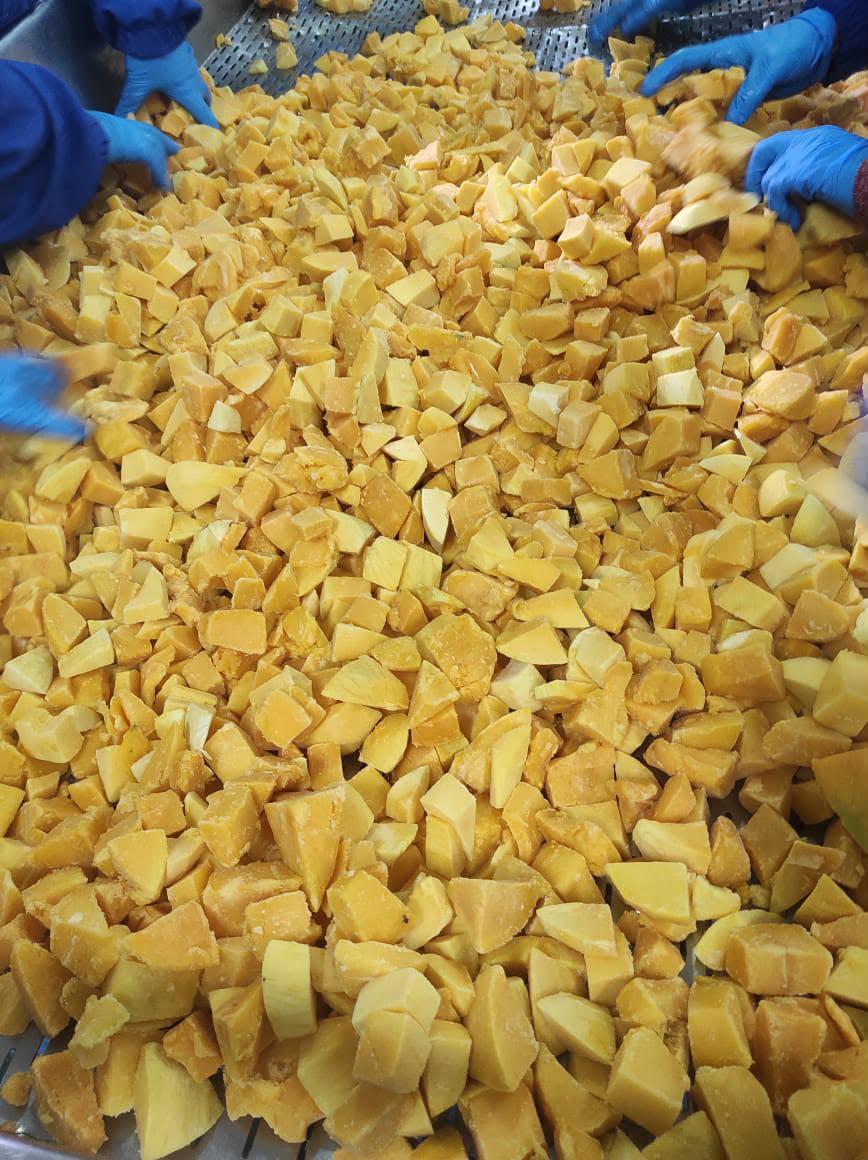 Frozen mango processing line