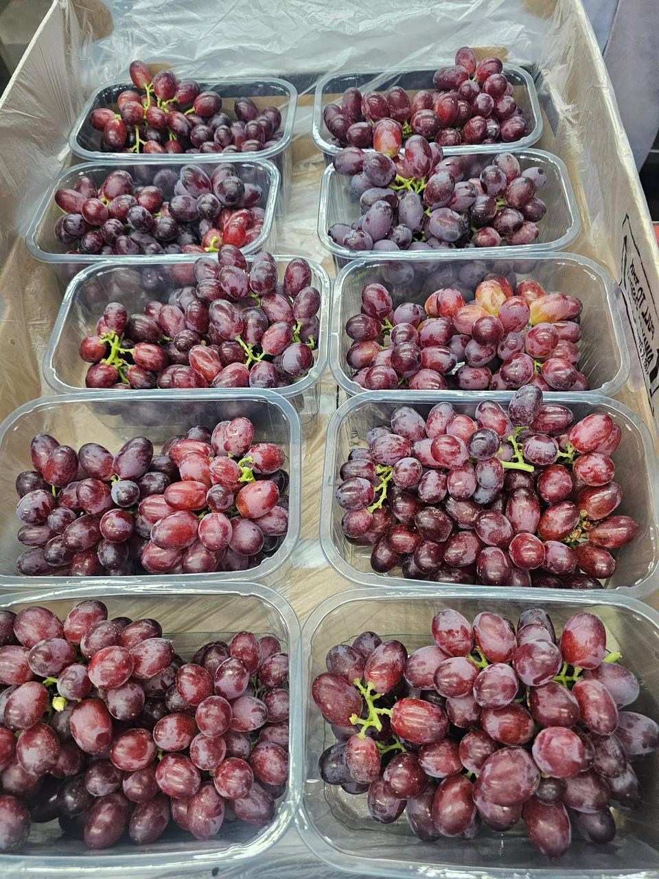 Egyptian red grapes in punnets
