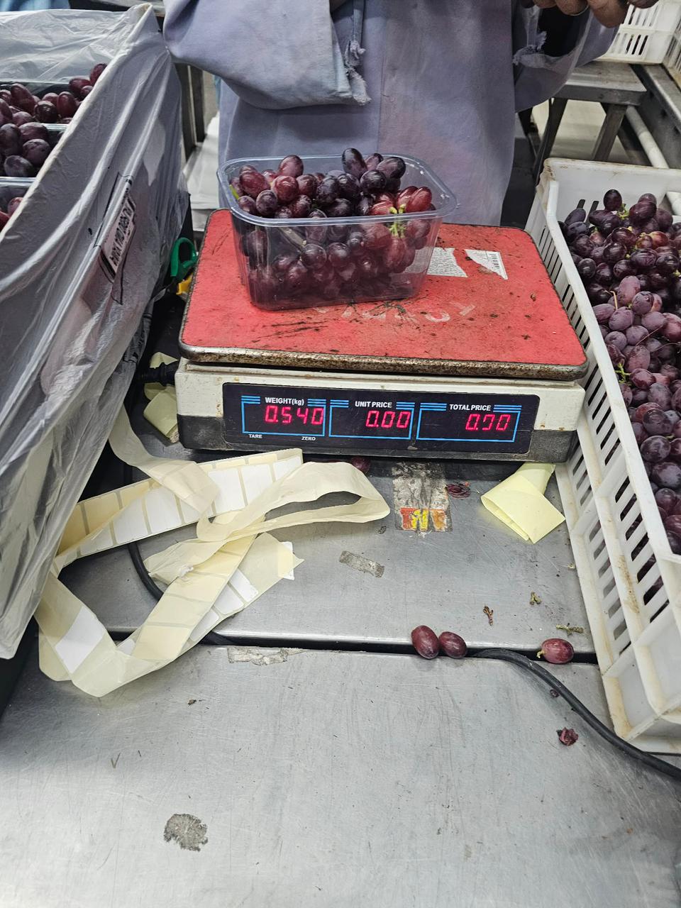 Egyptian red grapes being weighed