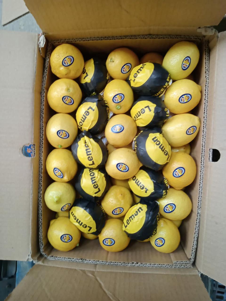 Lemons packed in an open export carton