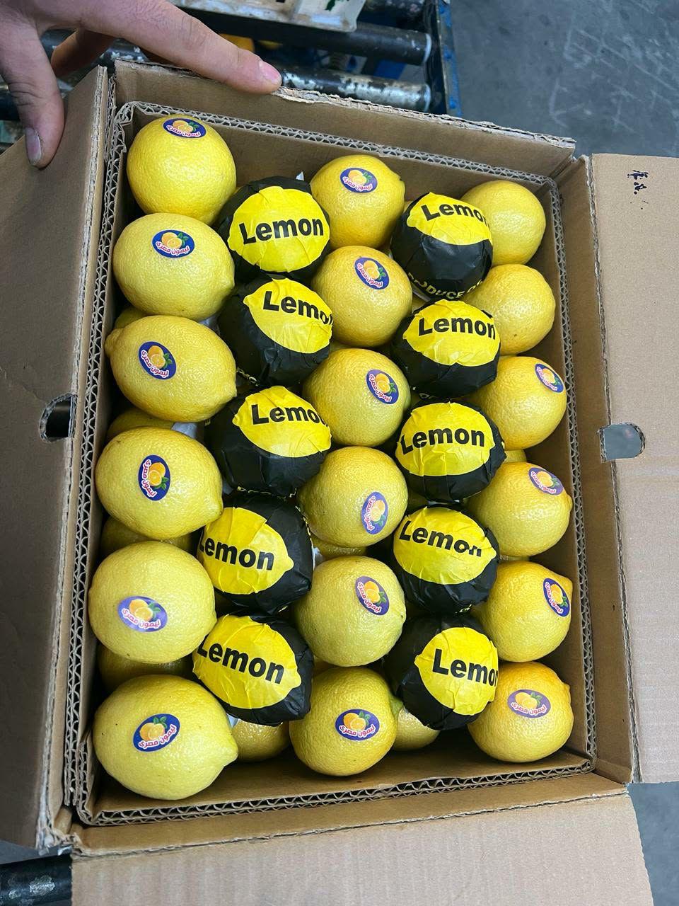 Egyptian lemons packed for export