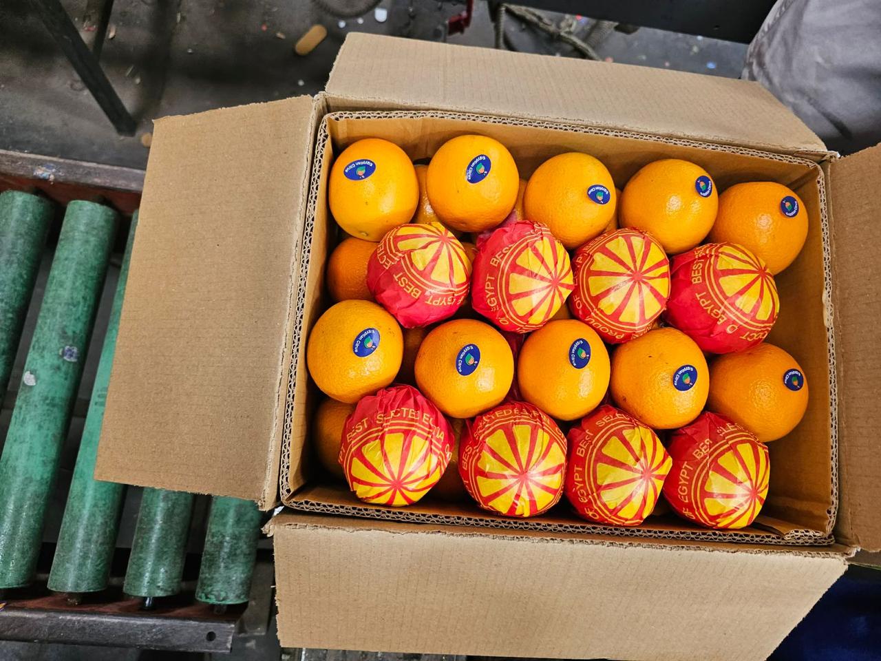 Export carton of Egyptian oranges prepared for shipment
