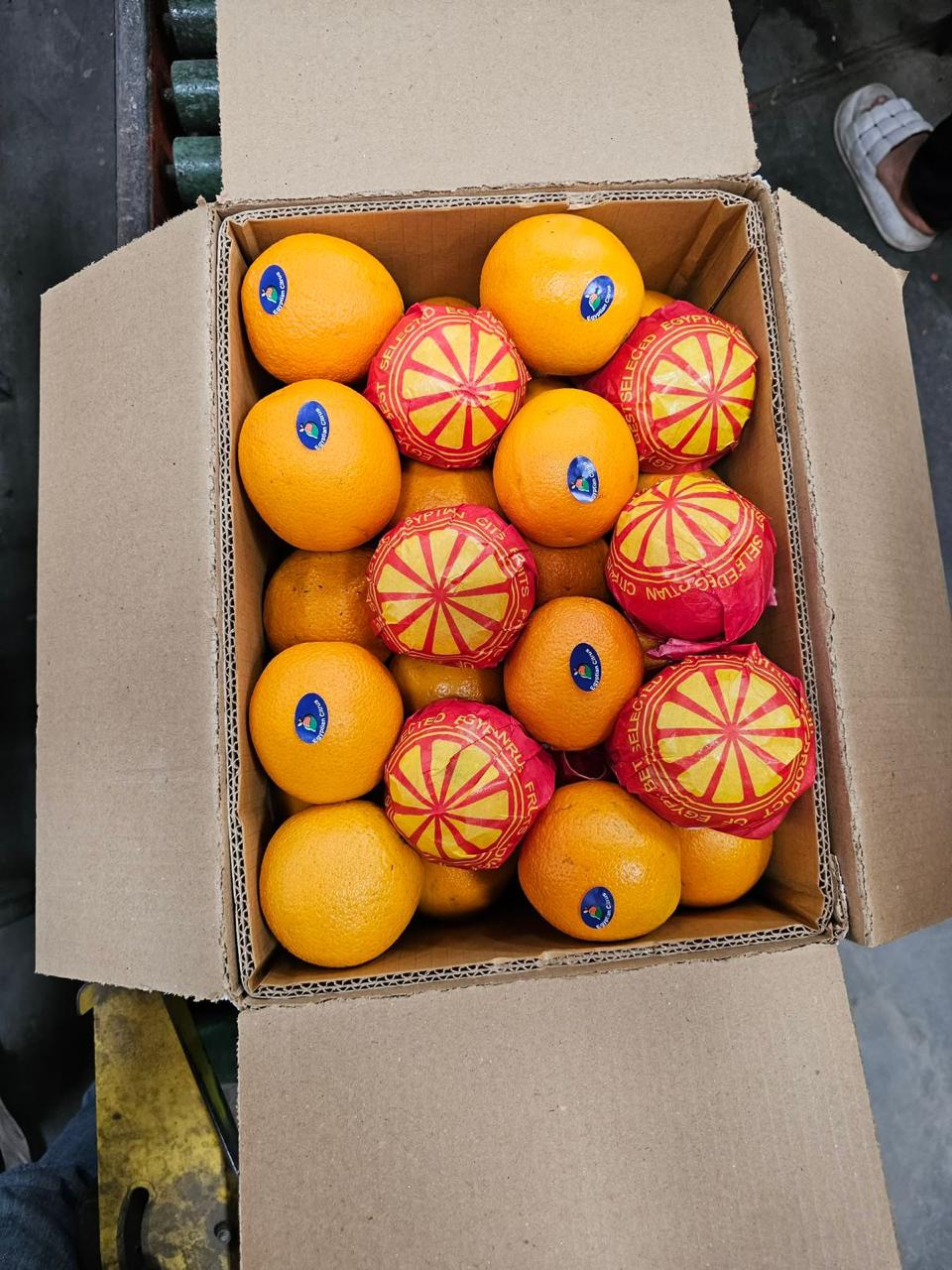 A box of Egyptian oranges hand-wrapped for export