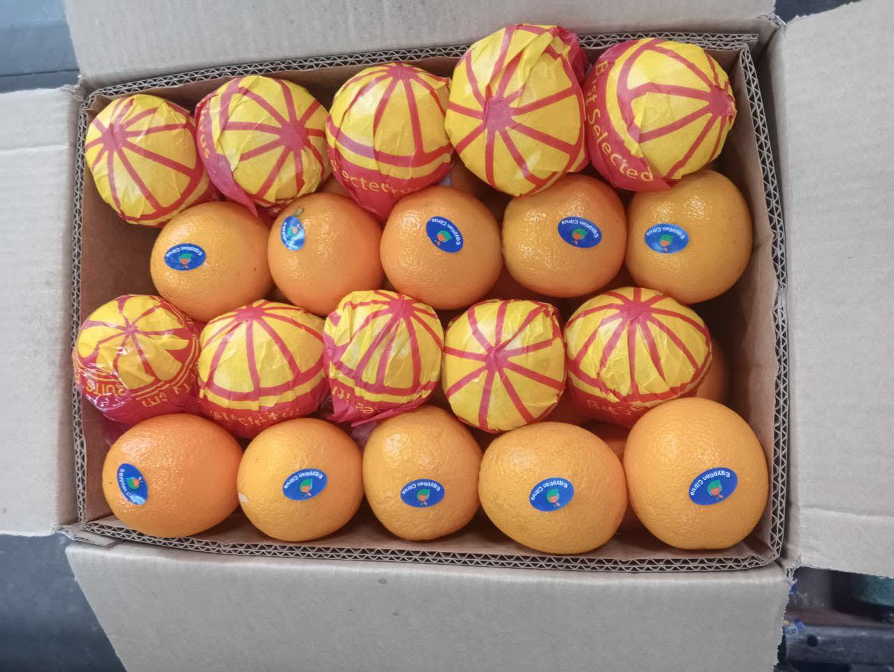 Premium wrapped Egyptian oranges