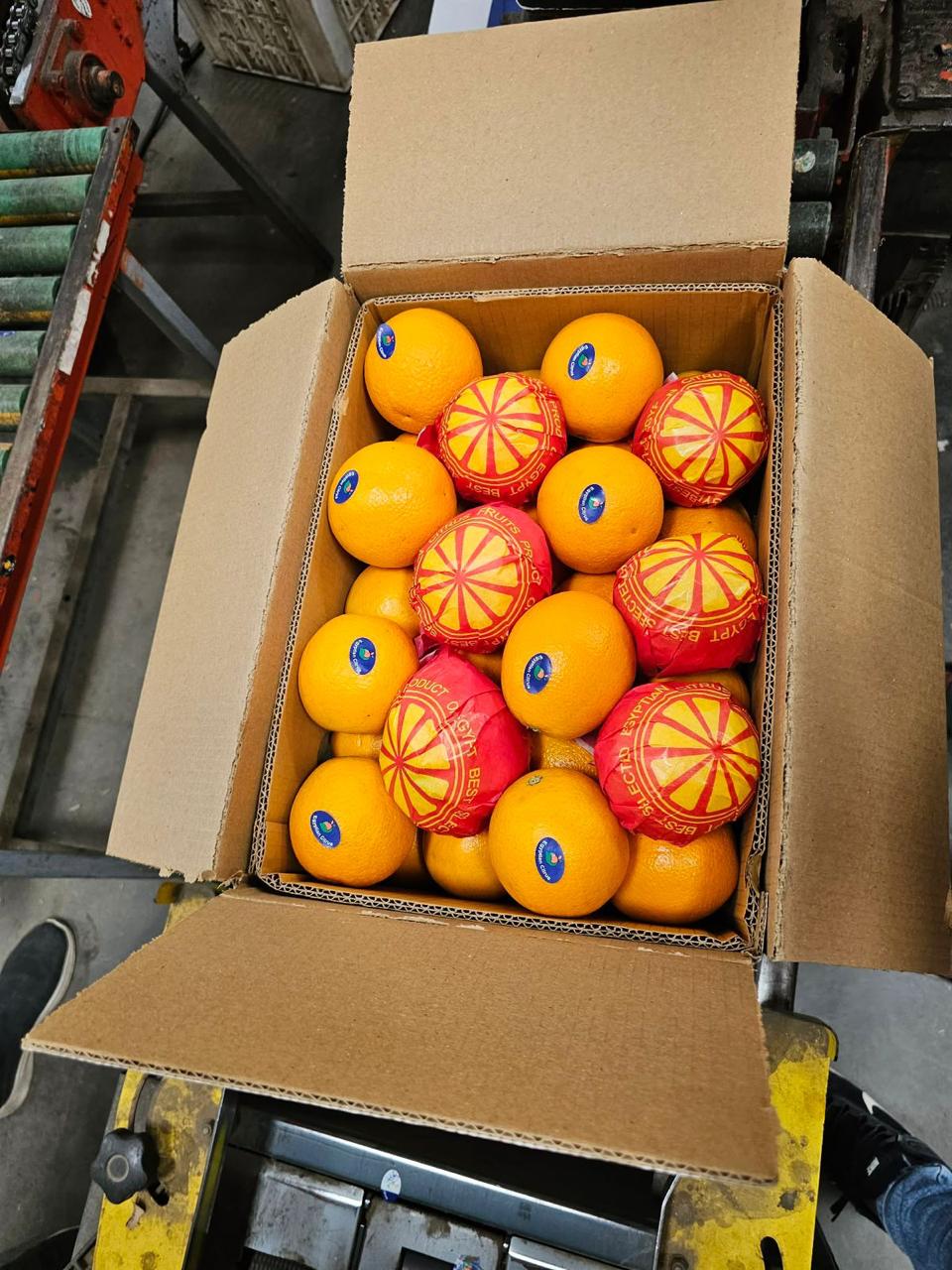 Vegetables in cold storage warehouse