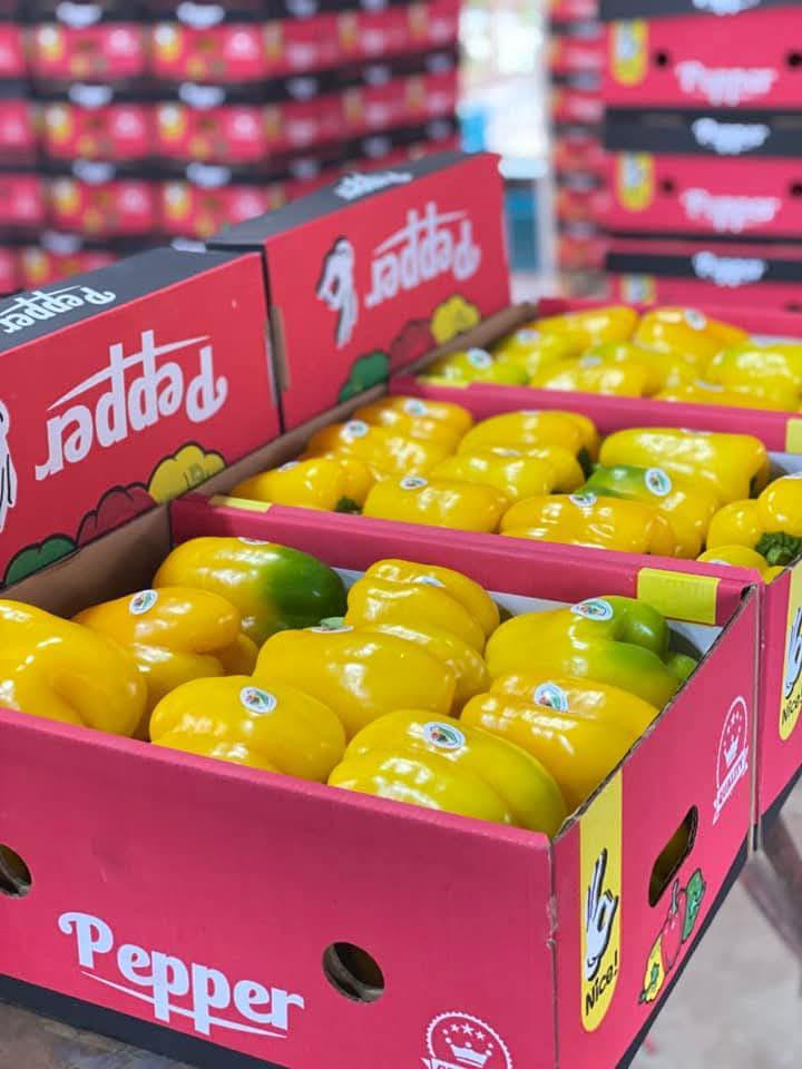 Egyptian yellow bell peppers