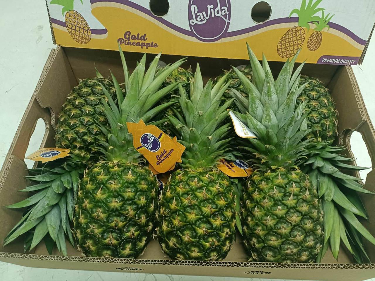 Premium gold pineapples