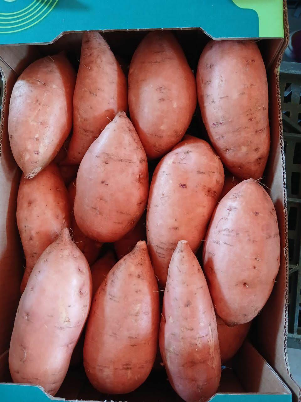 Egyptian sweet potatoes detail